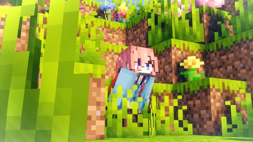 diddy smp banner