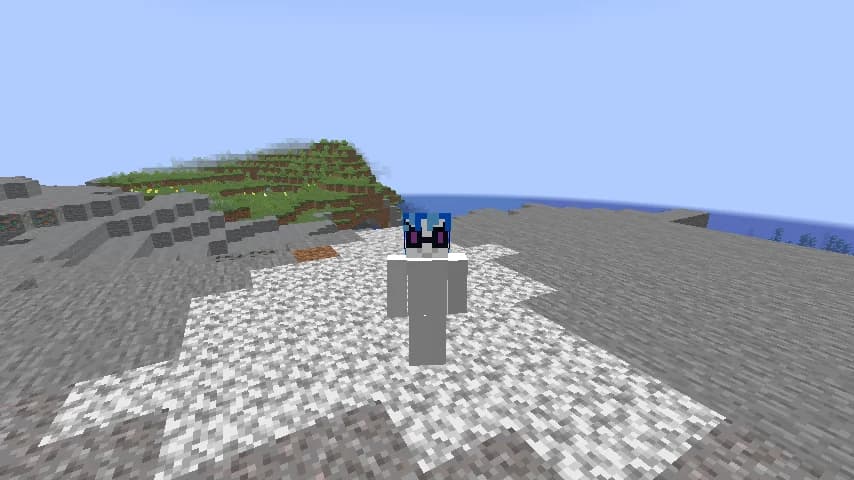 CrzySMP banner